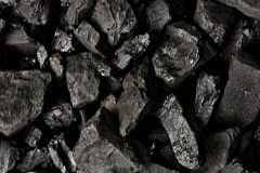 River coal boiler costs